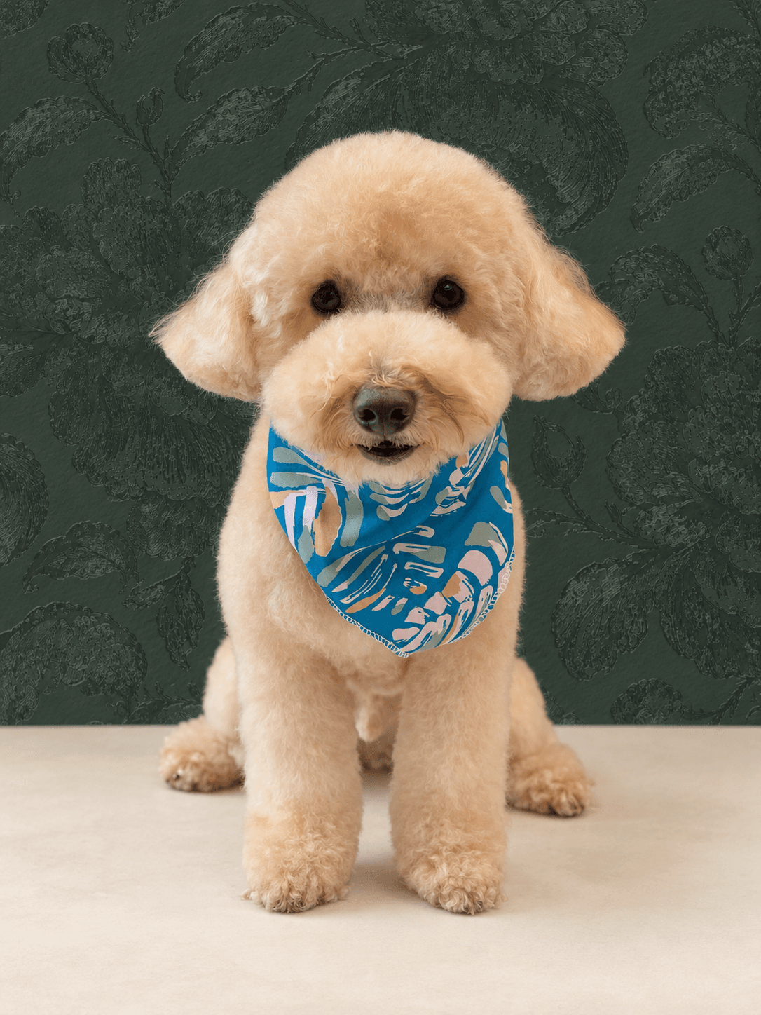 Duke, parte de la familia de Alexandra y Randall