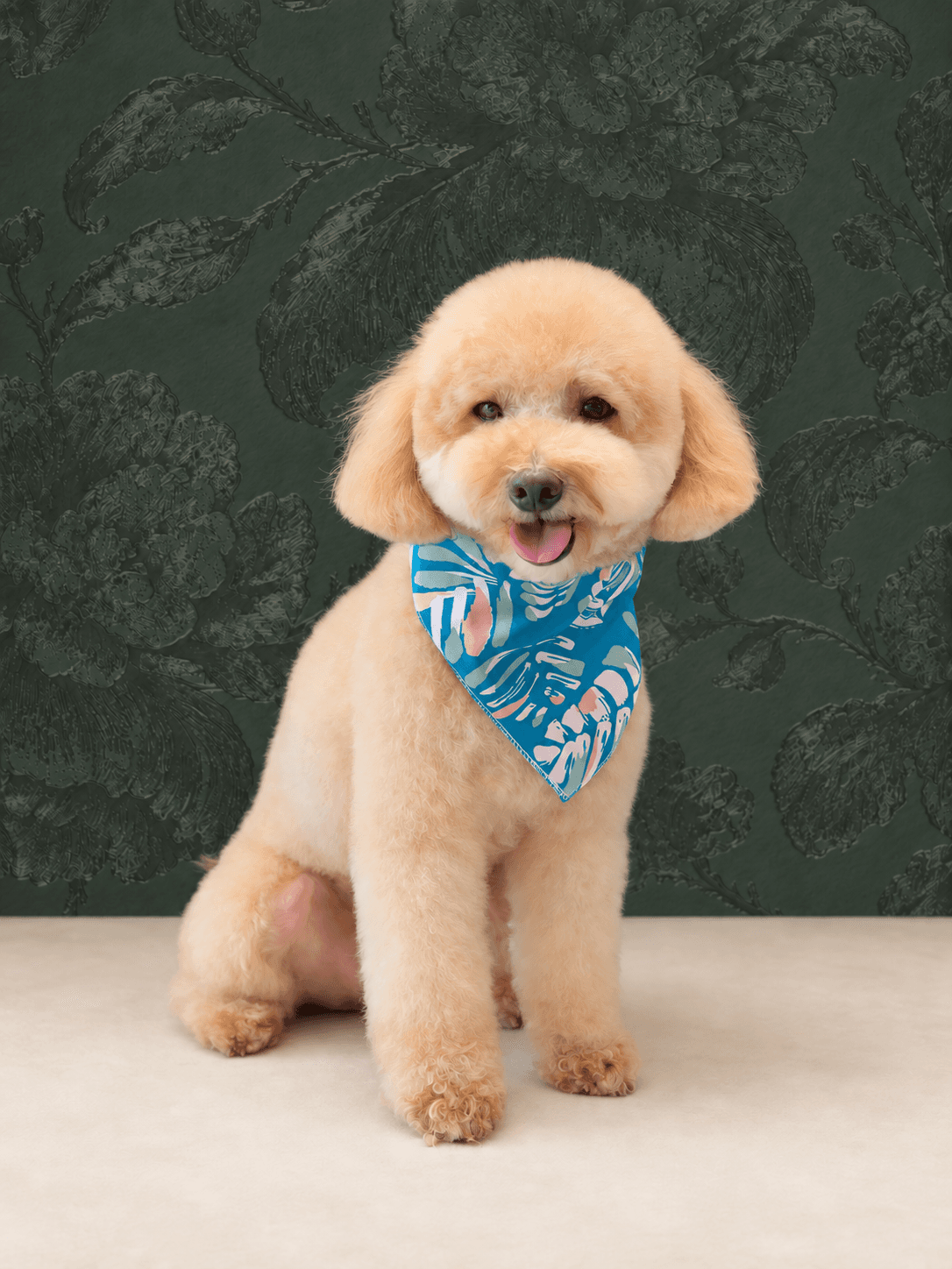 Zoe, parte de la familia de Alexandra y Randall